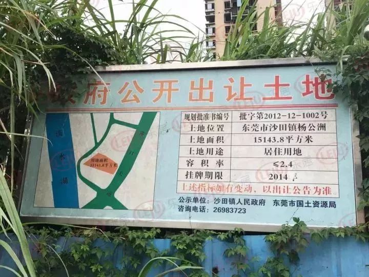 “东莞土地盛宴：精彩拍卖资讯抢先看”