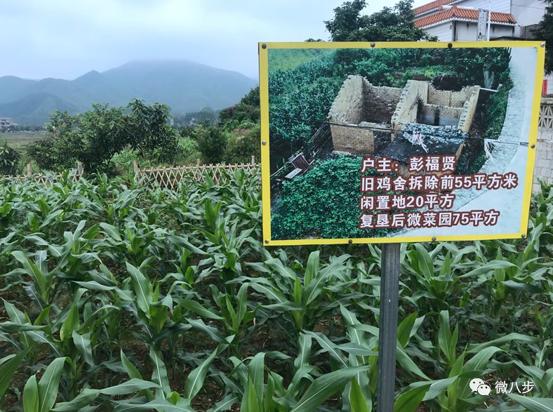 广州宅基地交易新规助力乡村振兴美好愿景