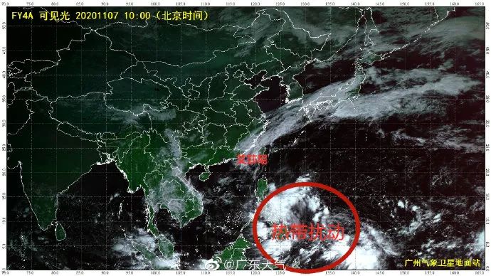 深圳喜迎台风过境，最新气象资讯播报