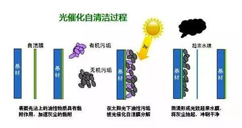 “支扩治疗前沿技术解析”