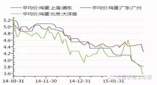 鸡蛋市场最新走势预测