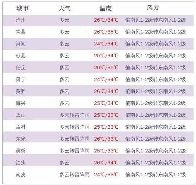 沧州最新人事调整揭晓