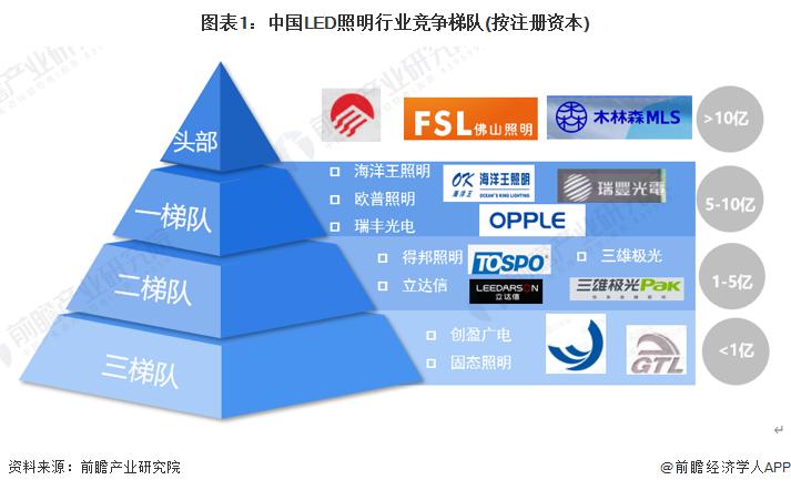 深度洞察：最新章节解读