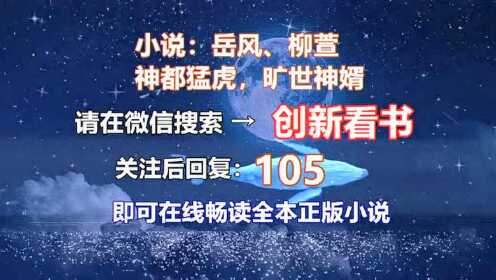 柳萱岳风续篇最新更新