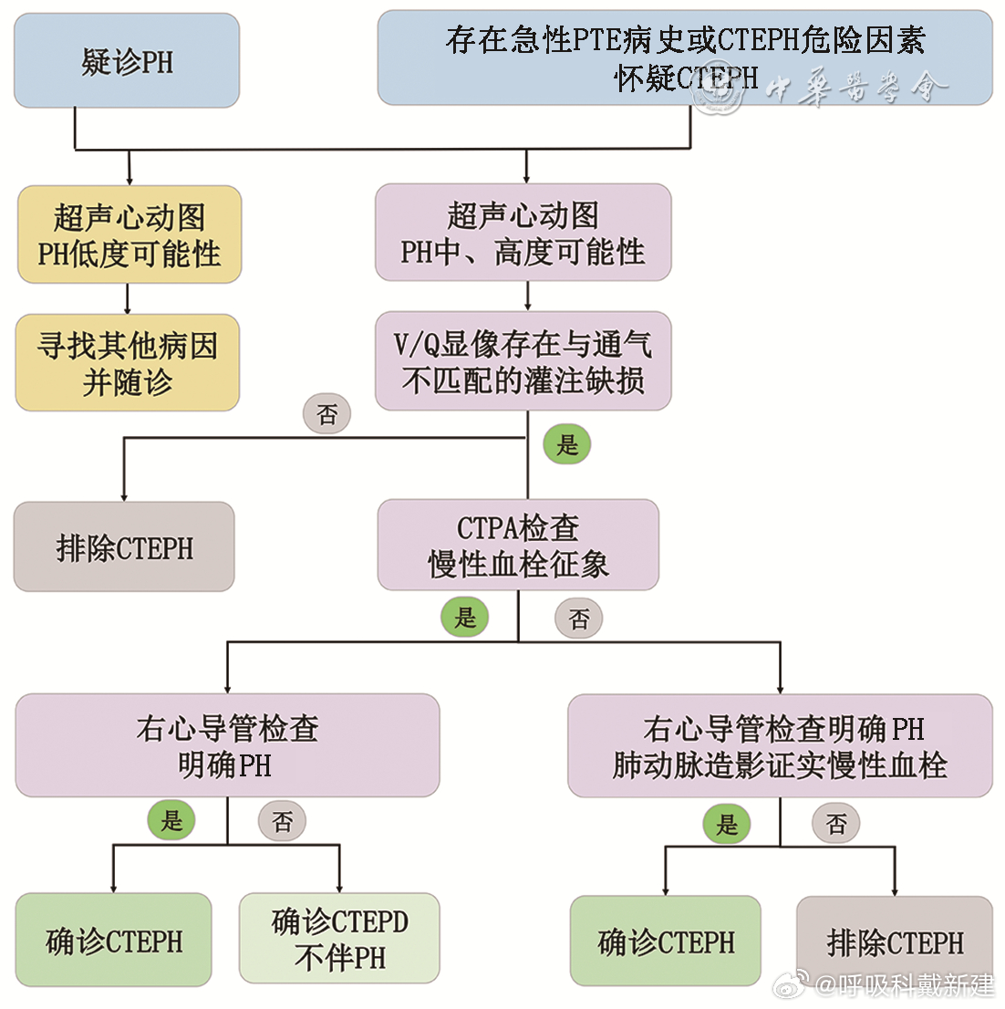 肺栓塞诊疗新规范指南