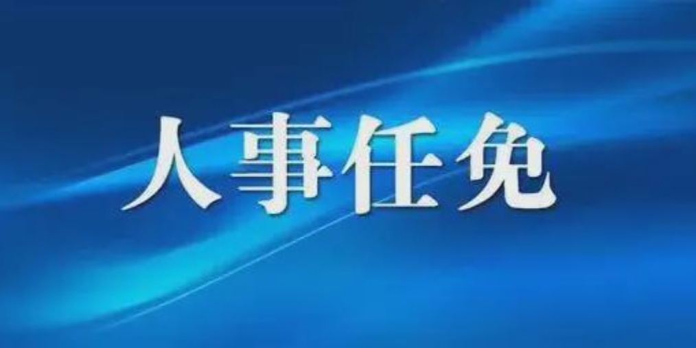 2025年度潍坊市人事变动全记录：最新任免公告揭晓